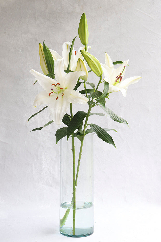 White OT Lilies