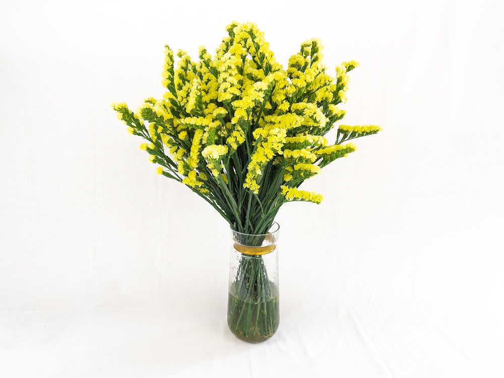 Yellow Statice