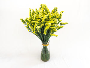 Yellow Statice