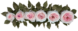 Keira (David Austin)