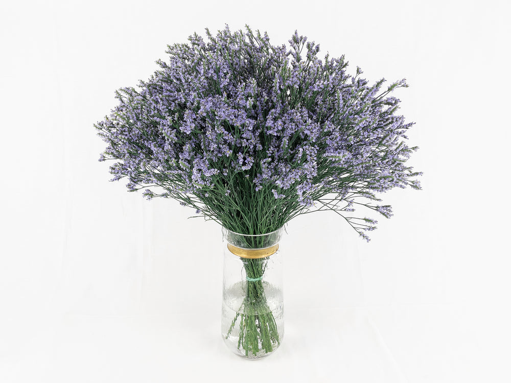 Lavender Limonium
