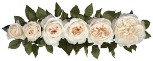 Purity (David Austin)