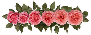 Romantic Antike (Deluxe)