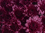 Paulina - Cushion Pom