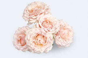 Wedding Rosever Spray (Deluxe)