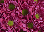 Amethyst Dark - Daisy Pom
